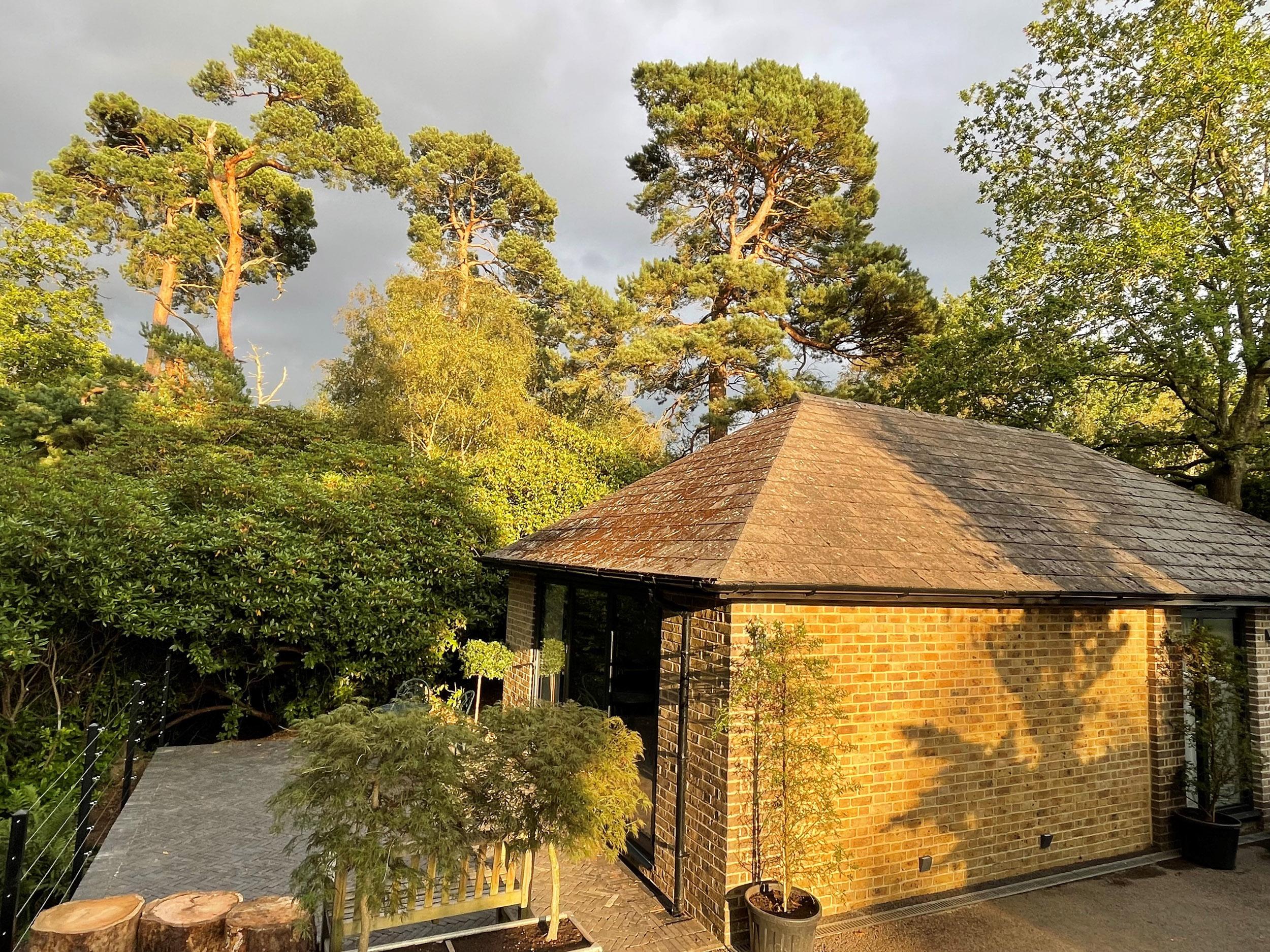 Holiday Cottage Reviews for Surrey Hills Cottage - Holiday Cottage in Dorking, Surrey