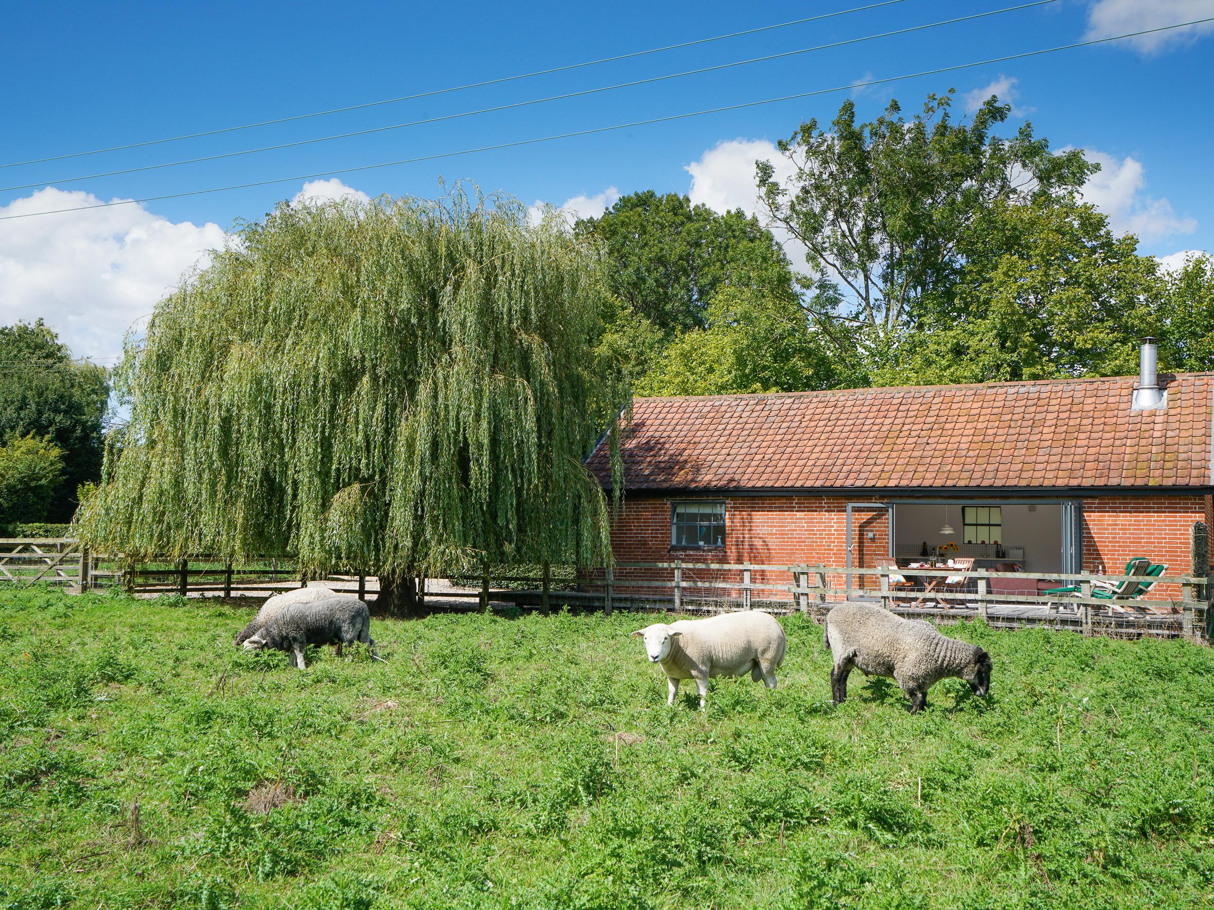 Holiday Cottage Reviews for The Workshop - Self Catering in Saxmundham, Suffolk