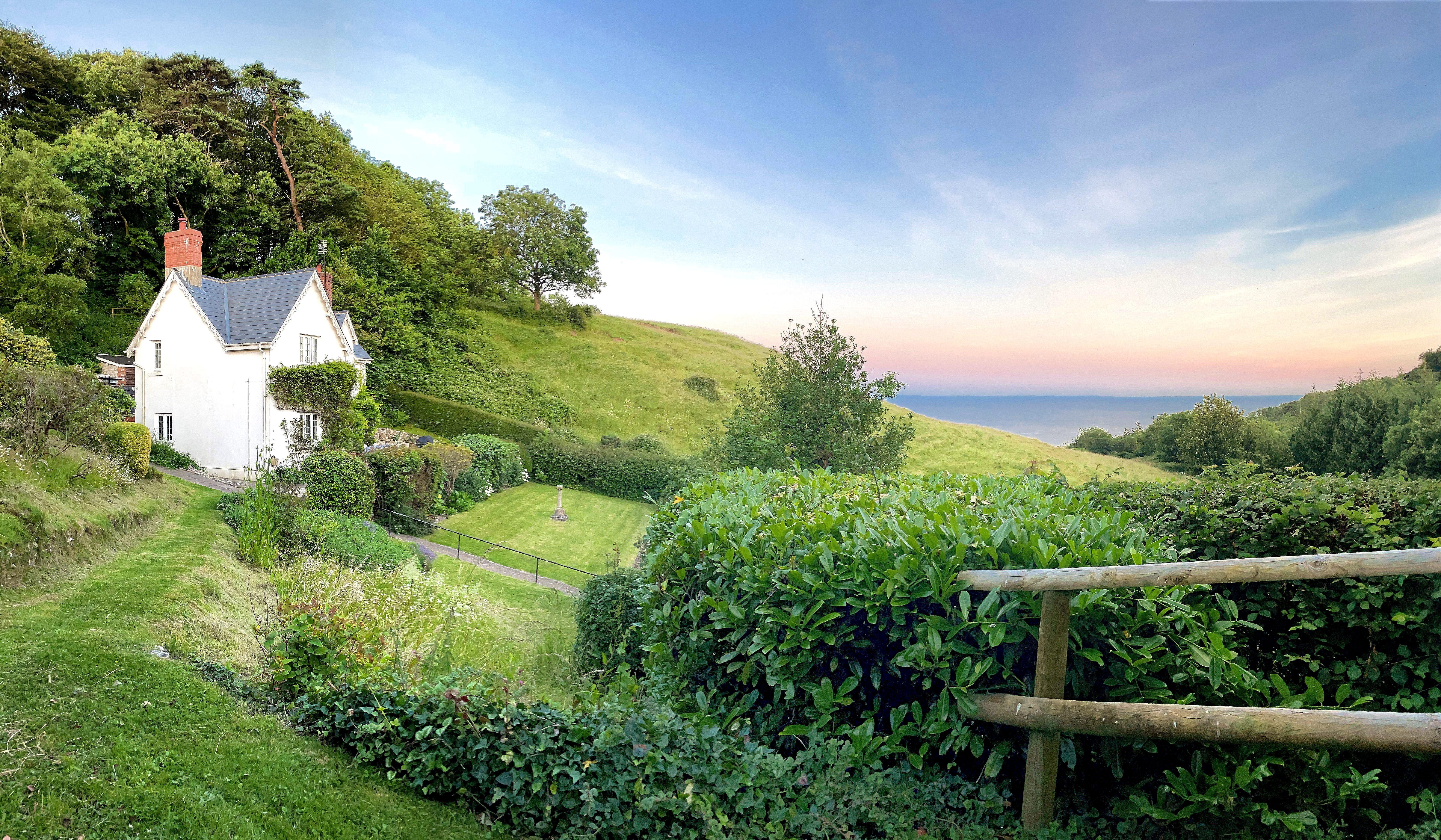 Holiday Cottage Reviews for Lynch Cottage - Self Catering Property in Lyme Regis, Dorset