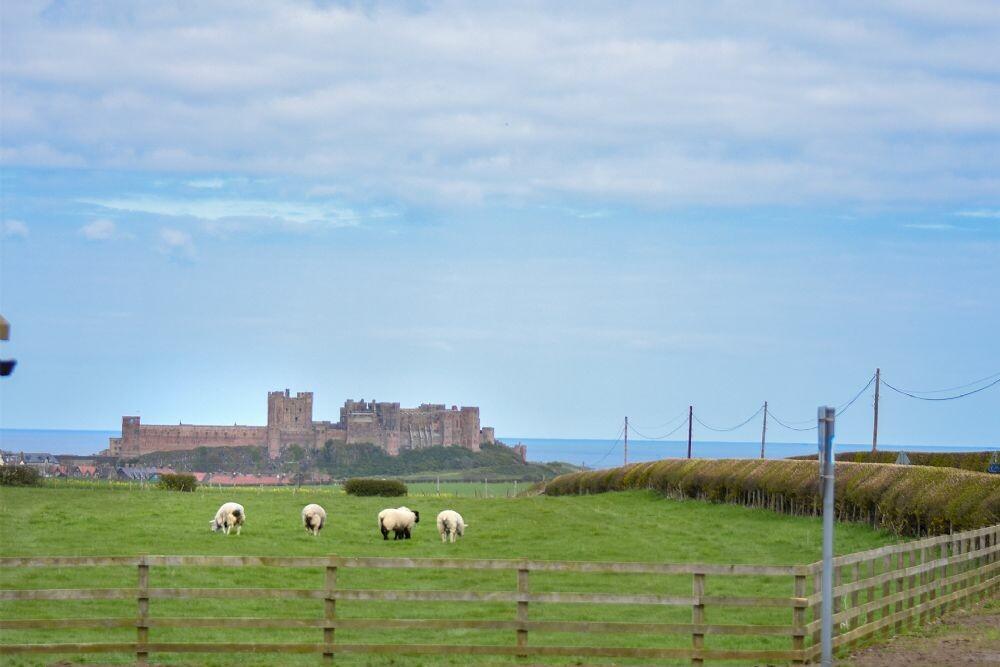 Holiday Cottage Reviews for Dryden Cottage - Self Catering in Bamburgh, Northumberland
