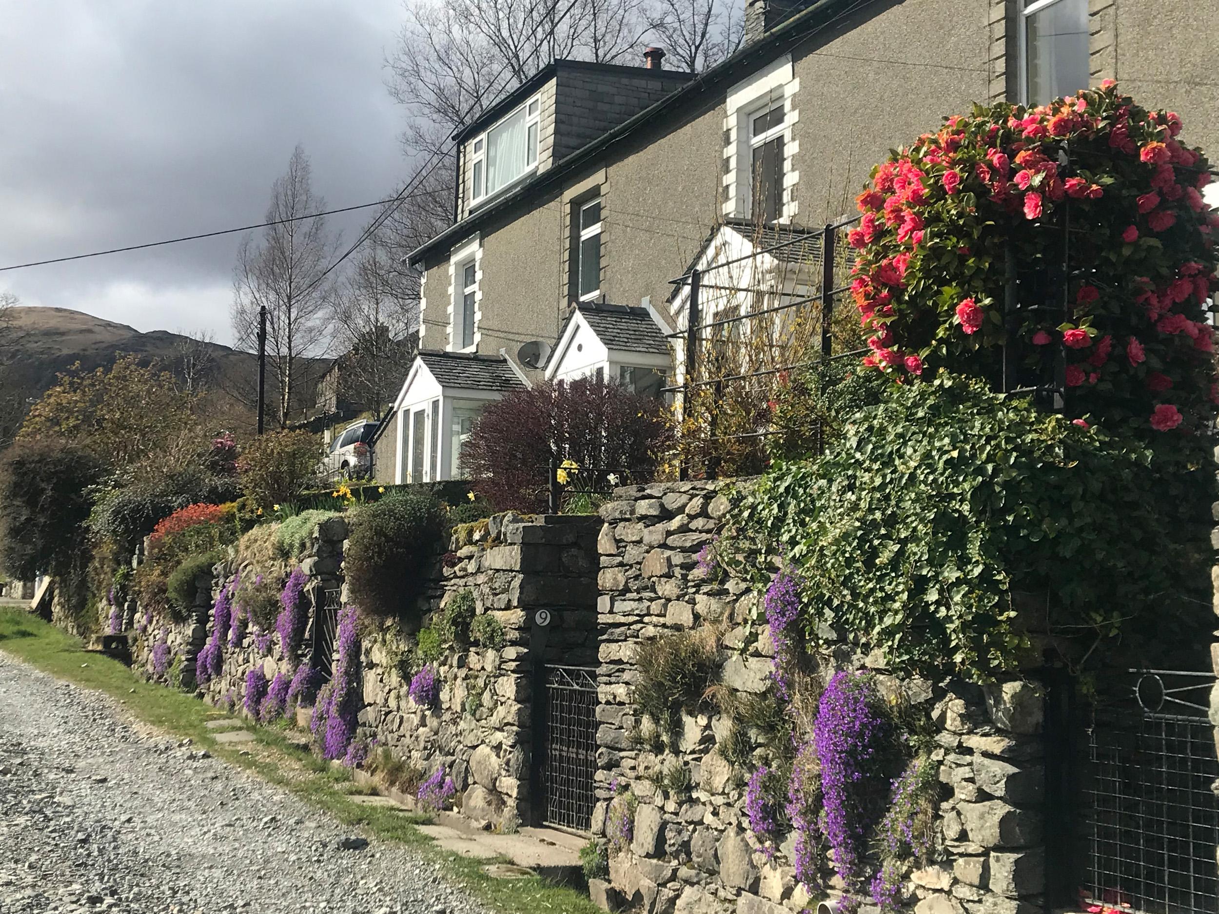 Holiday Cottage Reviews for 10 Halton Terrace - Holiday Cottage in Glenridding, Cumbria