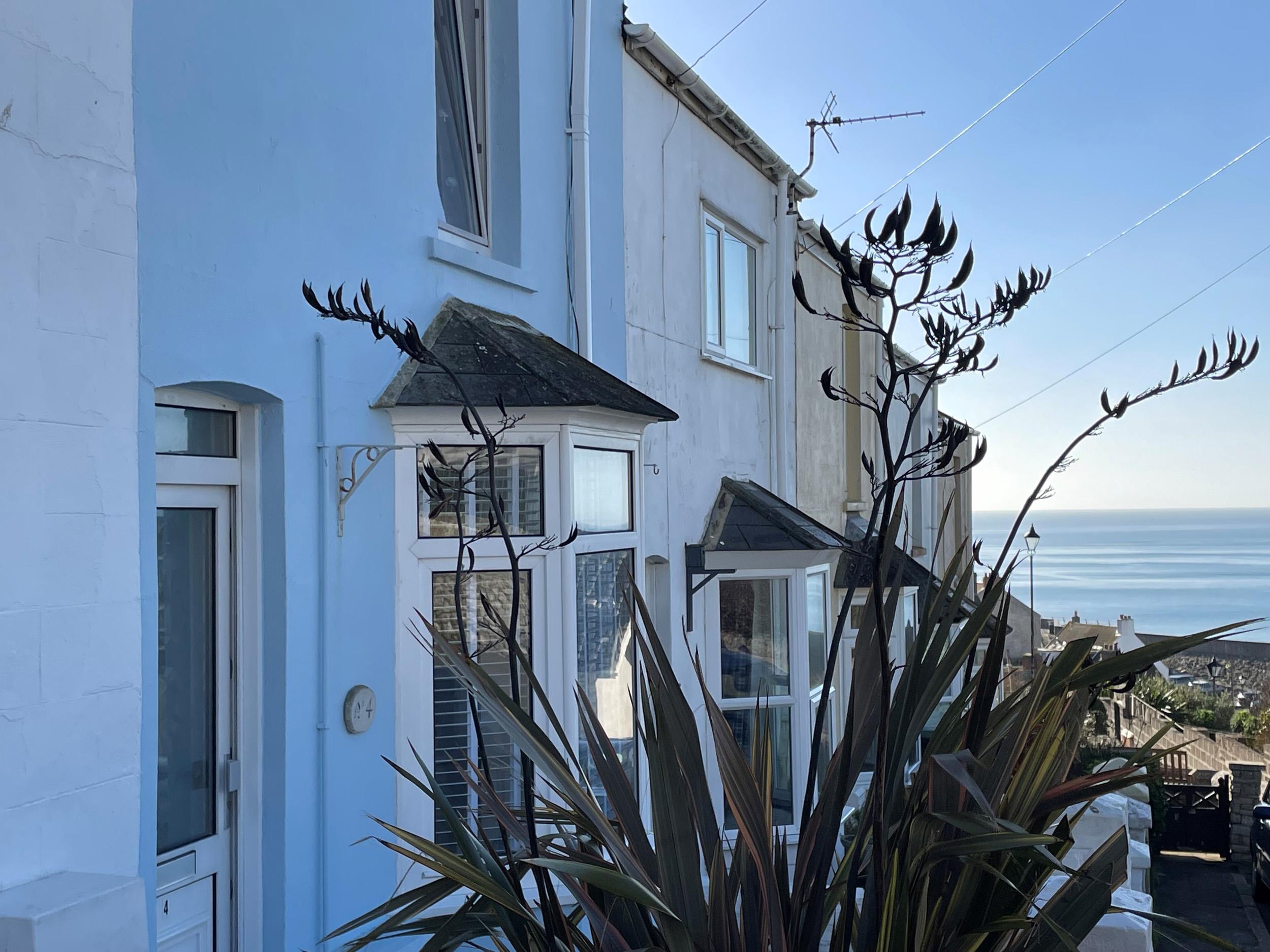 Holiday Cottage Reviews for Sea Breeze Cottage - Holiday Cottage in Portland, Dorset