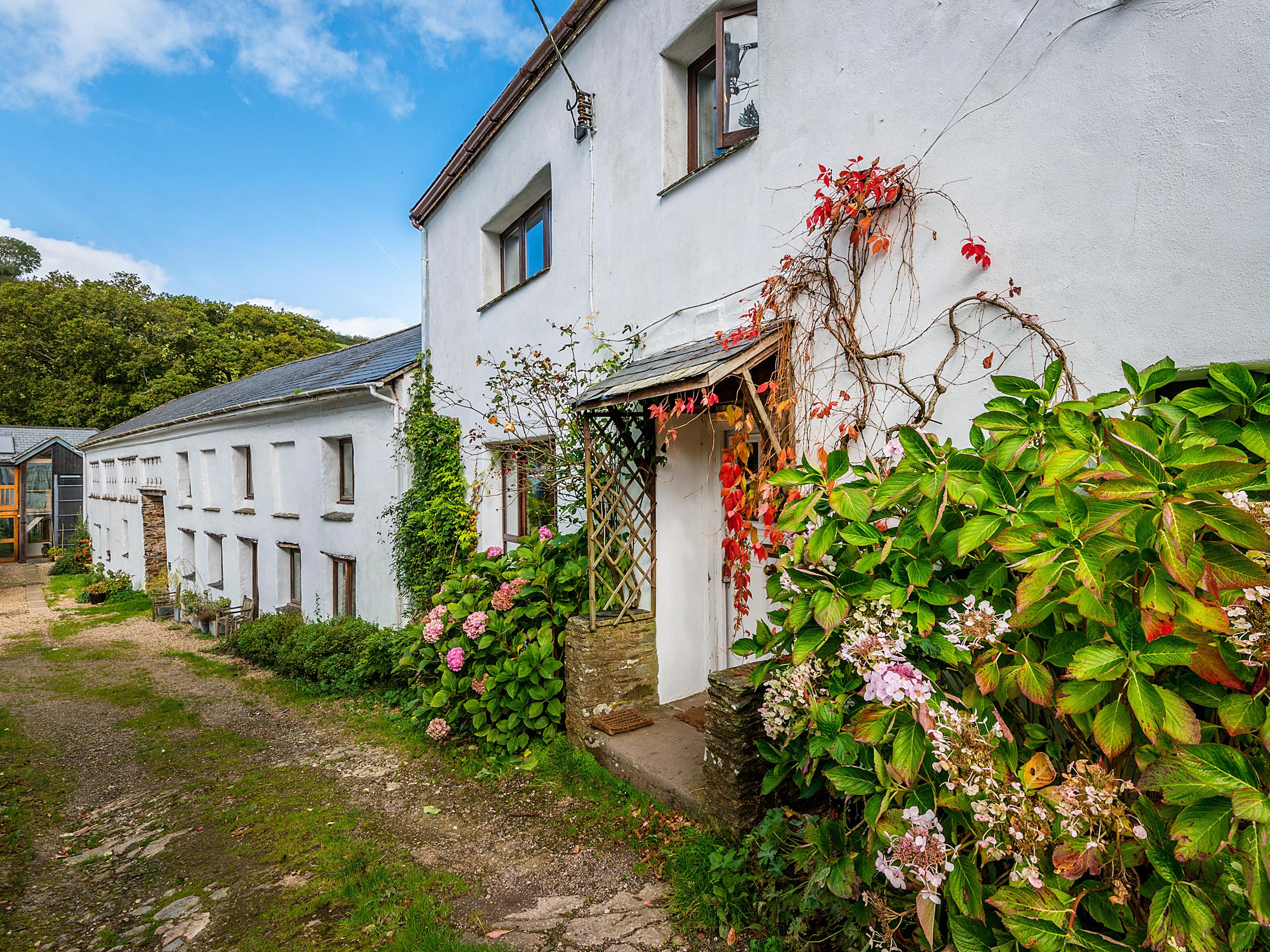 Holiday Cottage Reviews for Lower Mill - Holiday Cottage in Dittisham, Devon