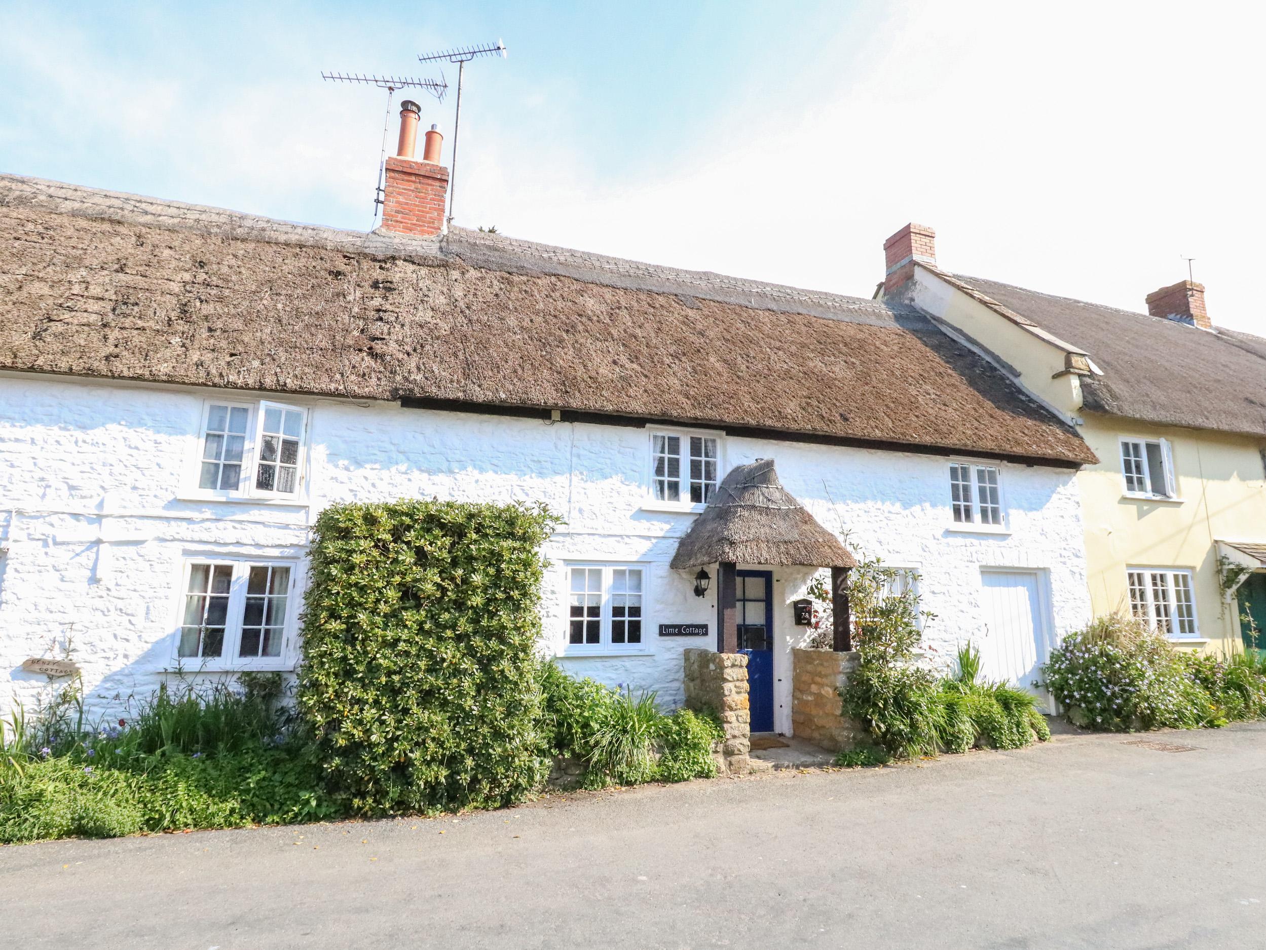 Holiday Cottage Reviews for Lime Cottage - Holiday Cottage in Burton Bradstock, Dorset