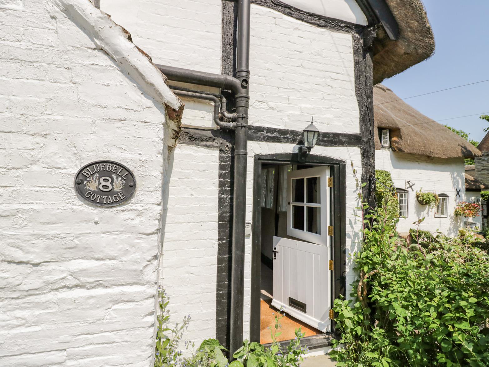 Holiday Cottage Reviews for Bluebell Cottage - Holiday Cottage in Shottery, Warwickshire