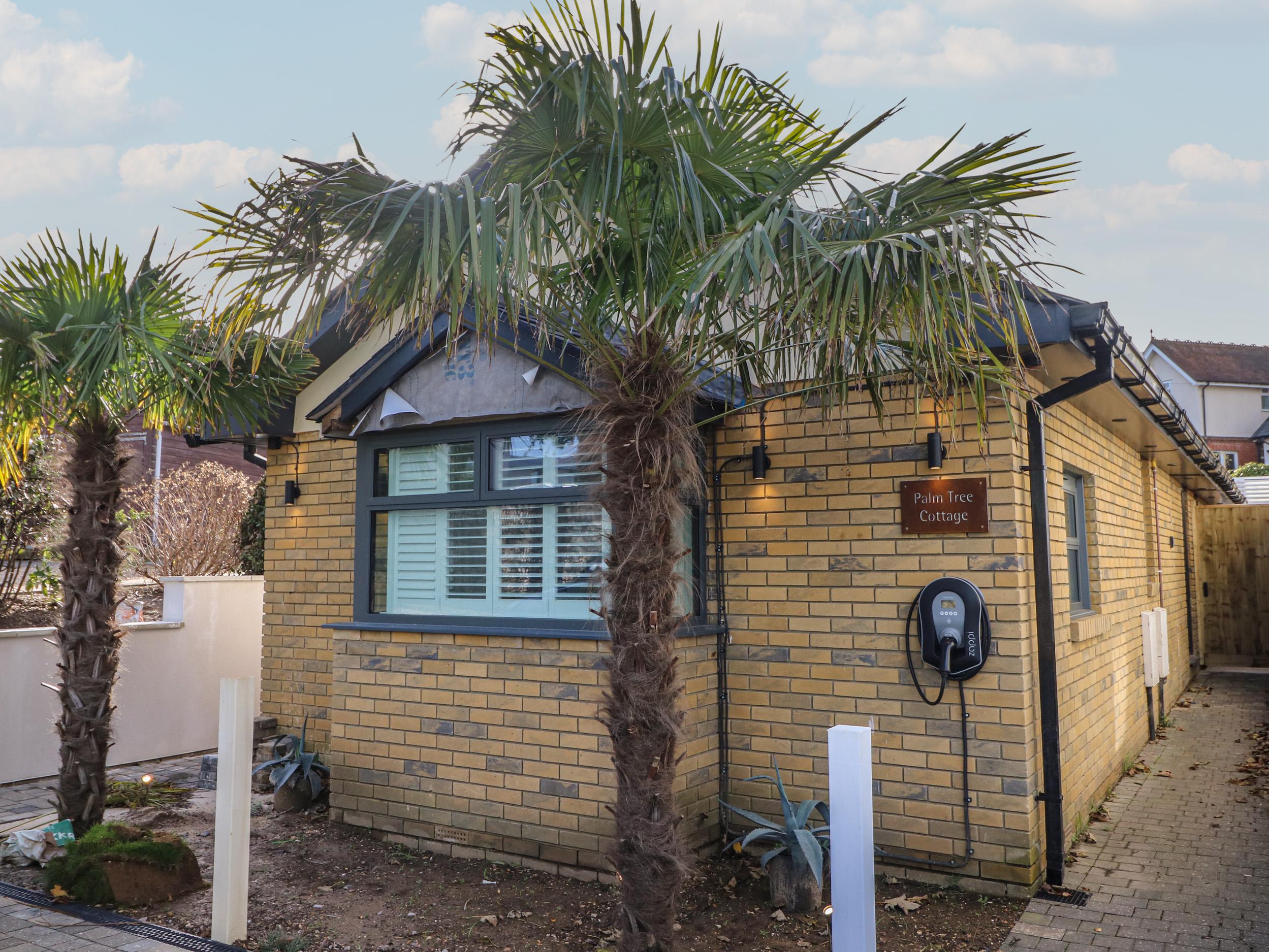 Holiday Cottage Reviews for Palm Tree Cottage - Holiday Cottage in Sandown, Isle of Wight