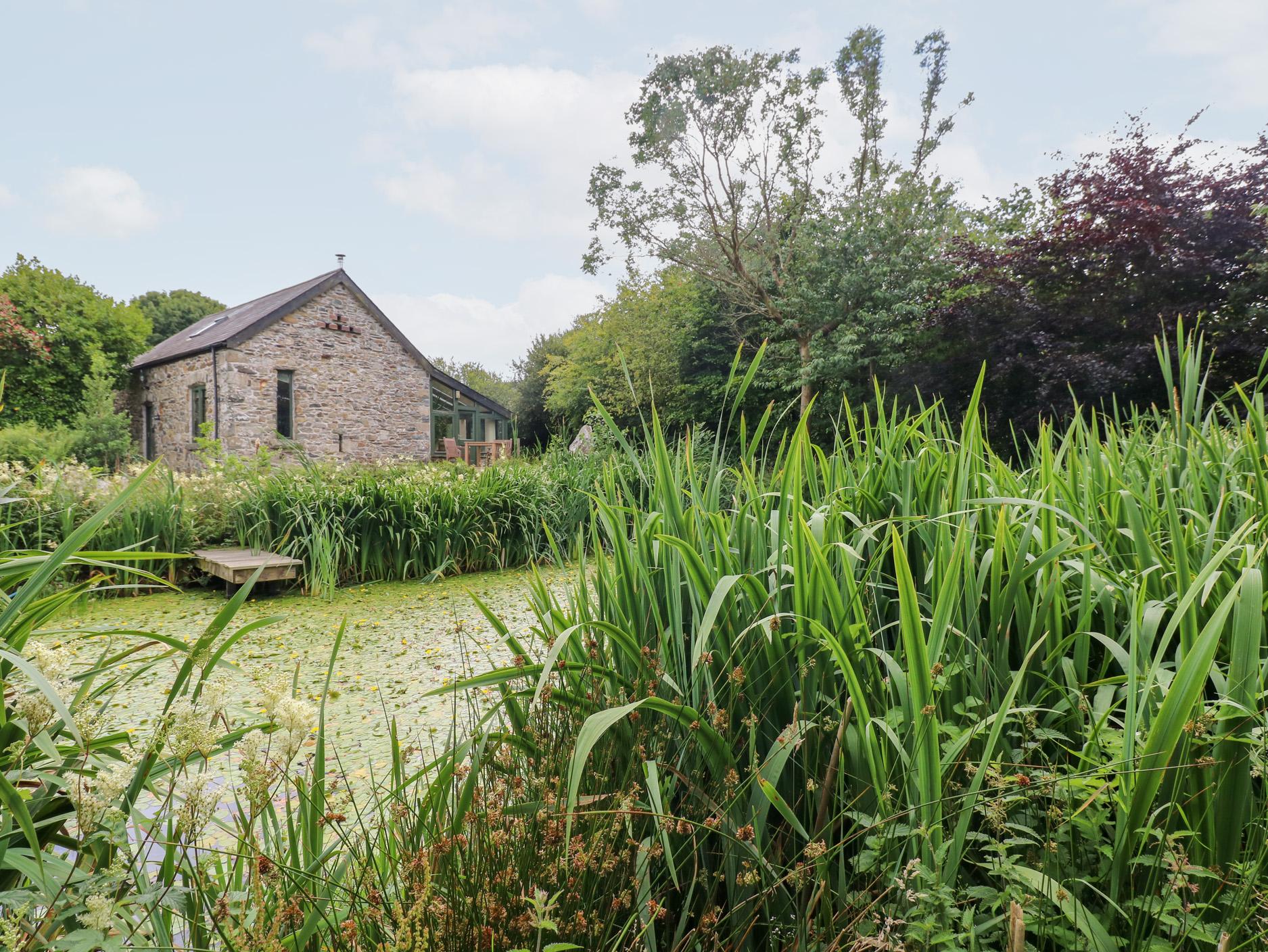 Holiday Cottage Reviews for The Dovecote - Holiday Cottage in Fishguard, Pembrokeshire