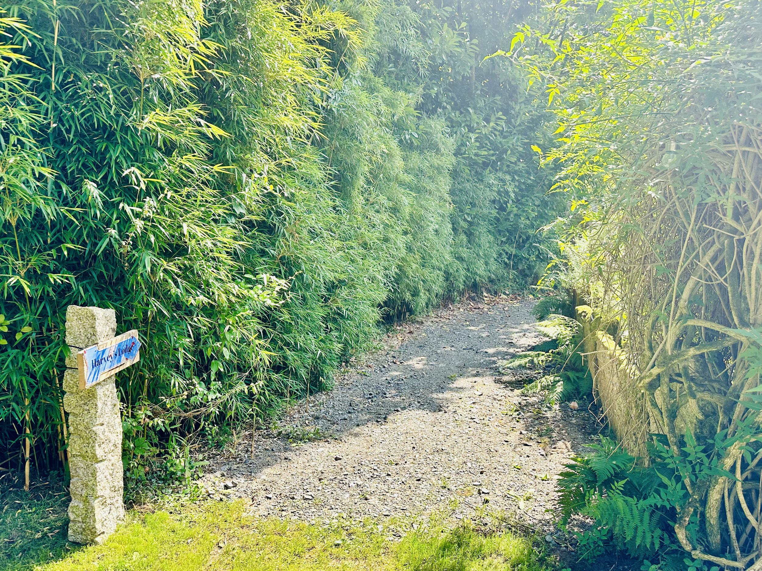 Holiday Cottage Reviews for Harvey's Lodge - Holiday Cottage in Helston, Cornwall inc Scilly
