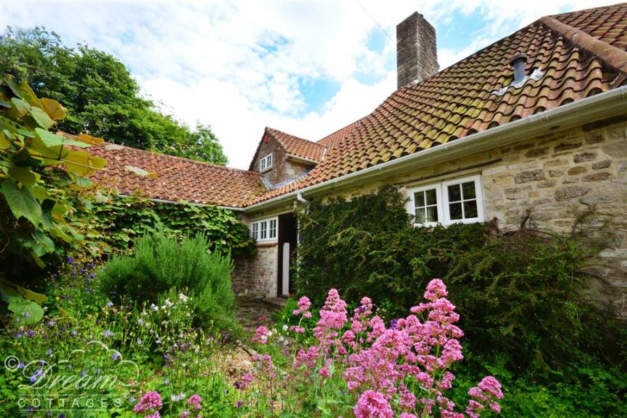 Holiday Cottage Reviews for Sixpenny Cottage - Holiday Cottage in Weymouth, Dorset