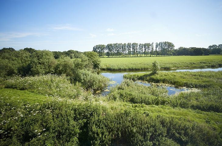 The Pump House Hilgay View Over The Norfolk Braods