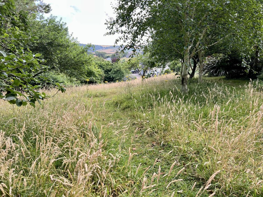Whitebeamwoodgarden2